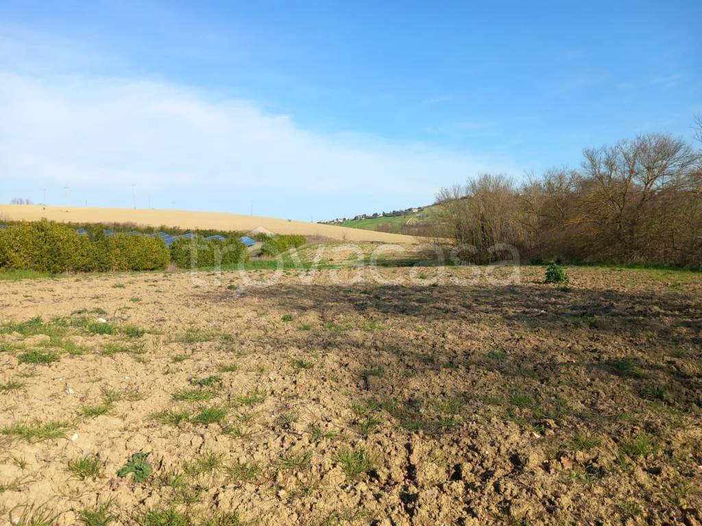 immagine annuncio 10 di 13