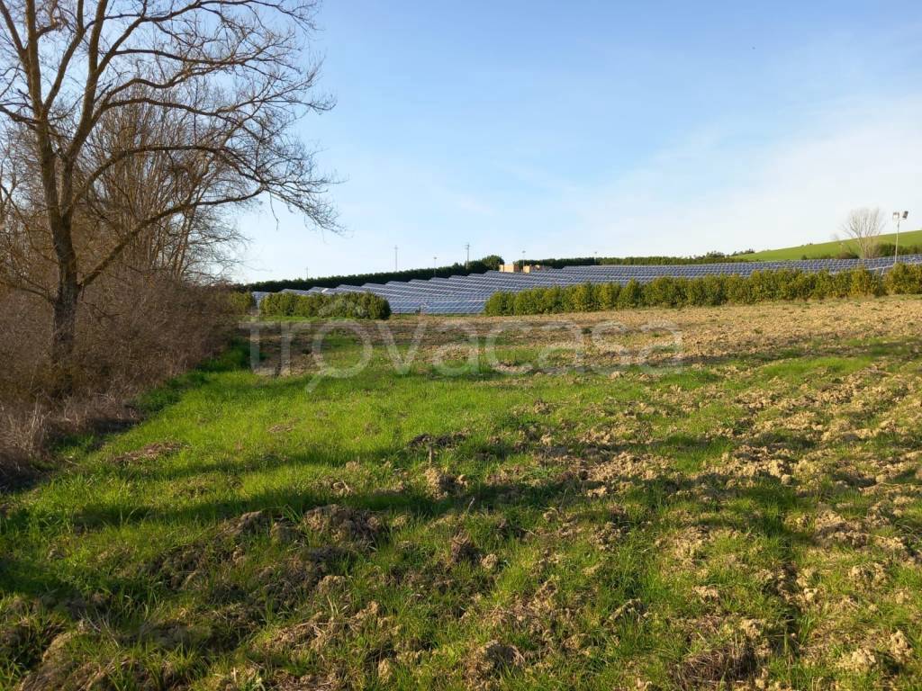 immagine annuncio 11 di 13