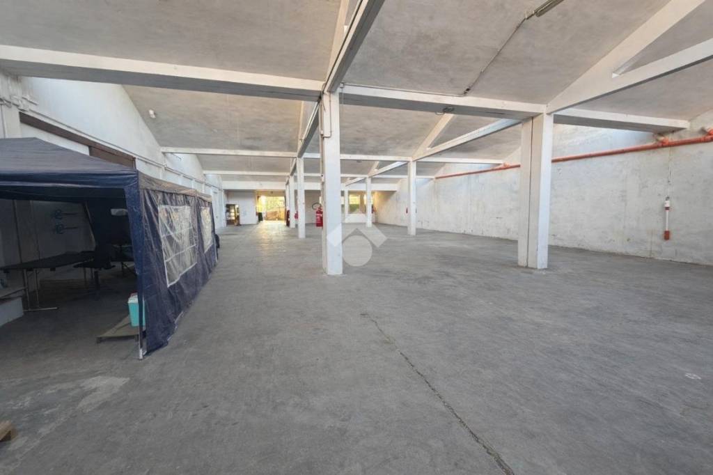 immagine annuncio 5 di 11