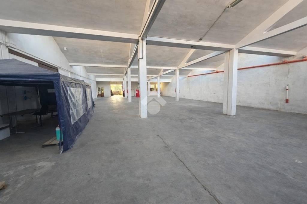 immagine annuncio 6 di 11