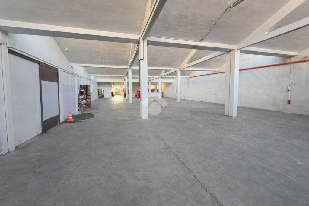 immagine annuncio 7 di 11