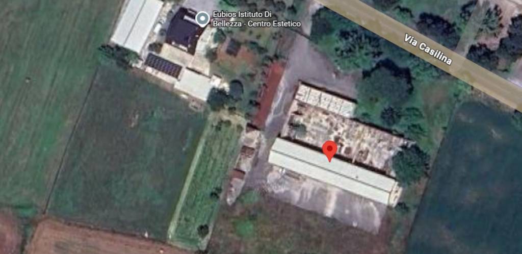 immagine annuncio 8 di 13