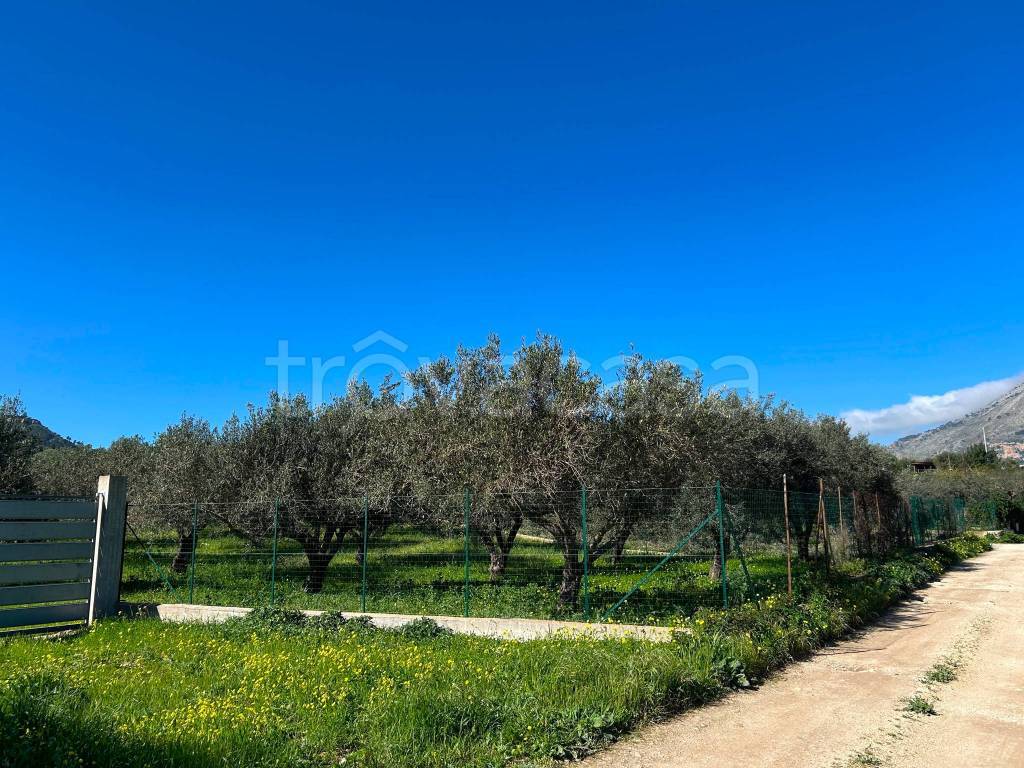 immagine annuncio 9 di 12