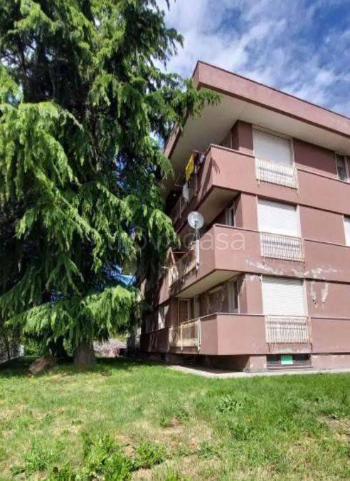 immagine annuncio 1 di 14