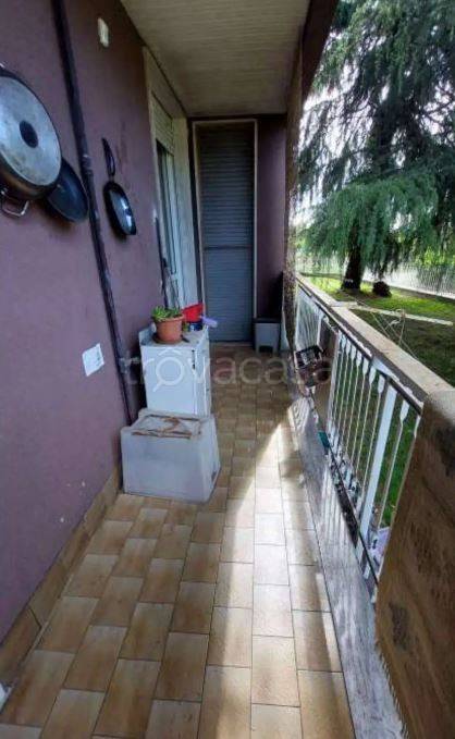 immagine annuncio 10 di 14