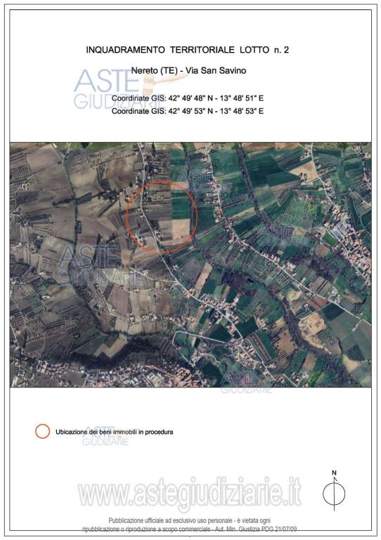 immagine annuncio 11 di 12