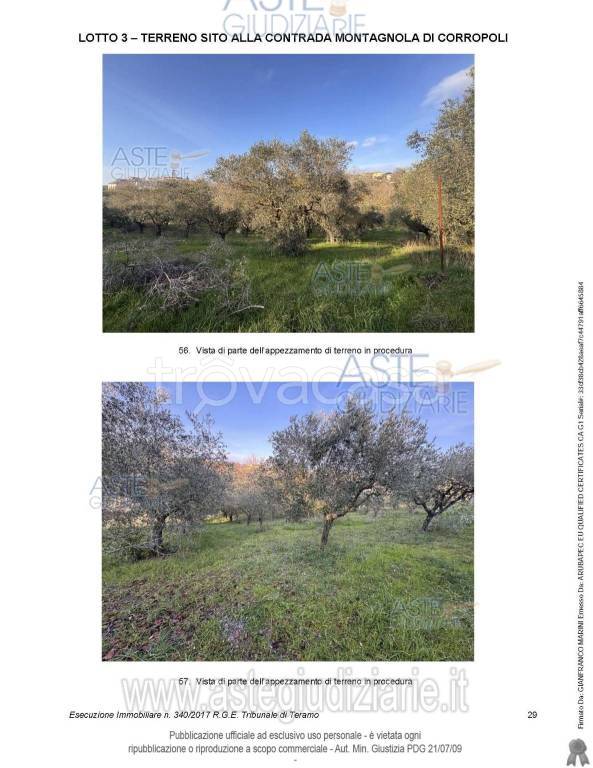 immagine annuncio 1 di 4