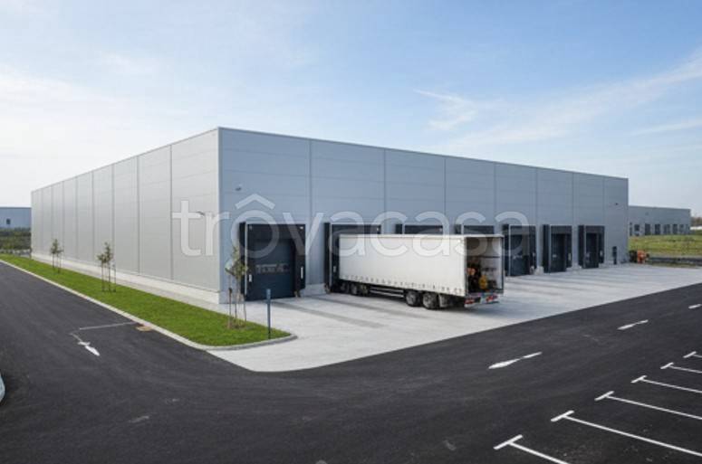 immagine annuncio 1 di 10