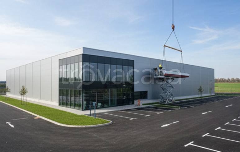 immagine annuncio 2 di 10