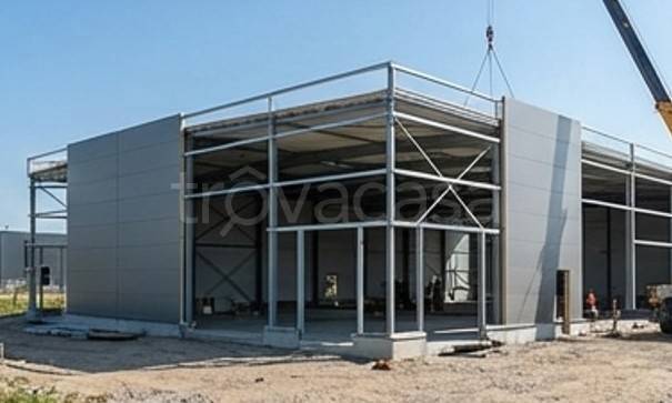 immagine annuncio 4 di 10