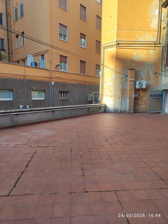 immagine annuncio 9 di 14