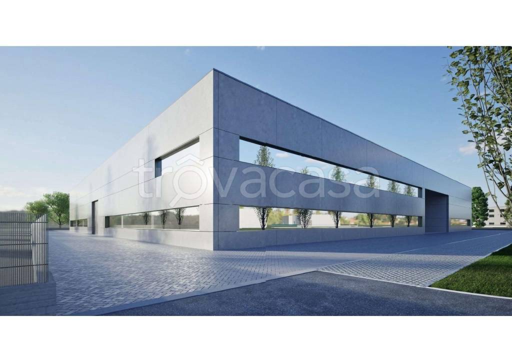 immagine annuncio 6 di 7