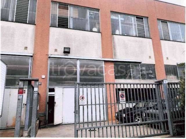 immagine annuncio 1 di 14