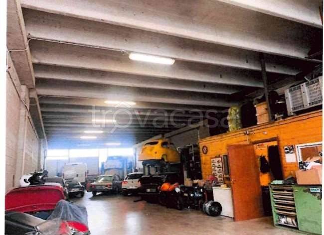 immagine annuncio 2 di 14