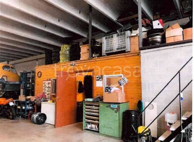 immagine annuncio 3 di 14