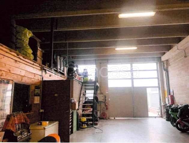 immagine annuncio 5 di 14