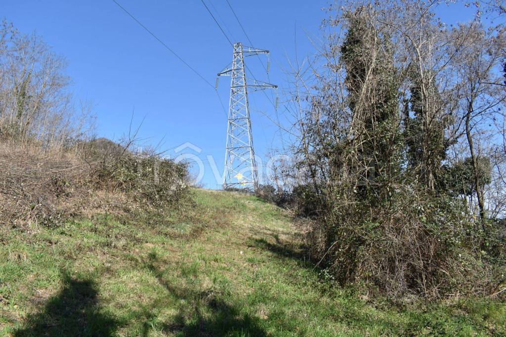 immagine annuncio 9 di 14