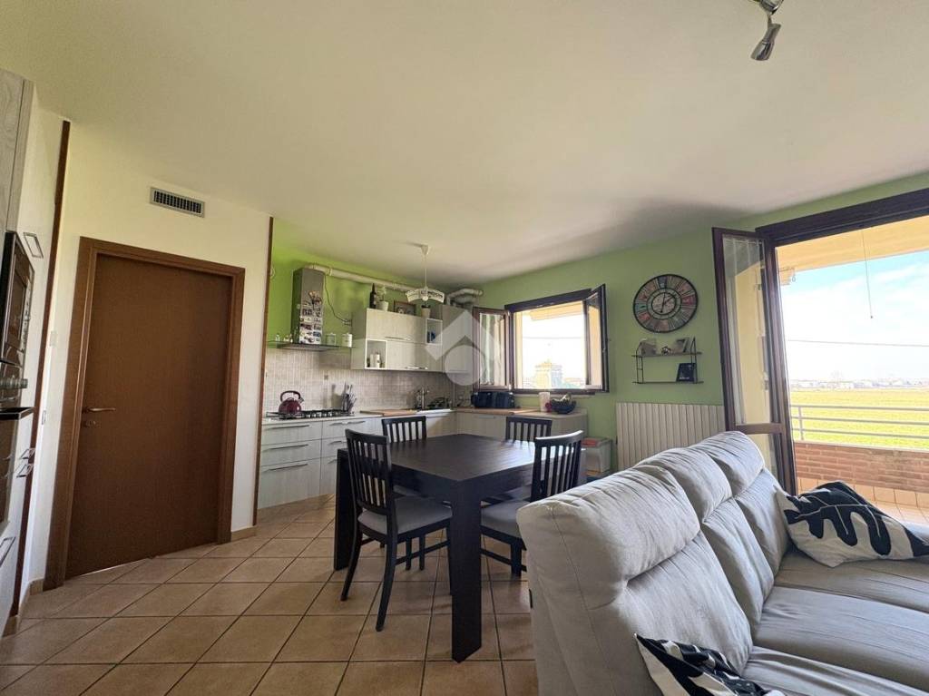 immagine annuncio 3 di 12