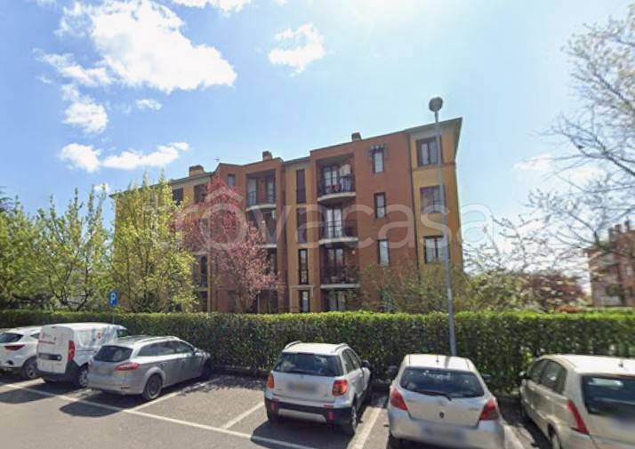 immagine annuncio 2 di 14