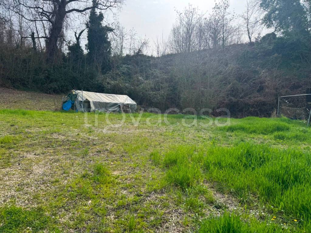 immagine annuncio 1 di 7