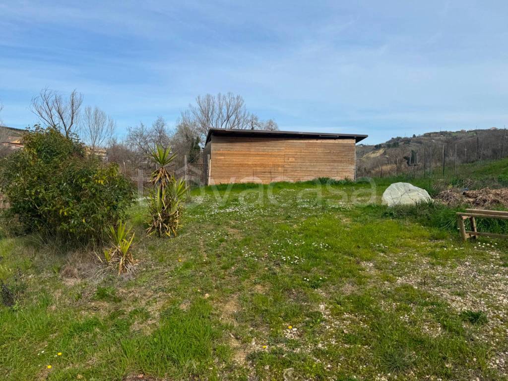 immagine annuncio 2 di 7