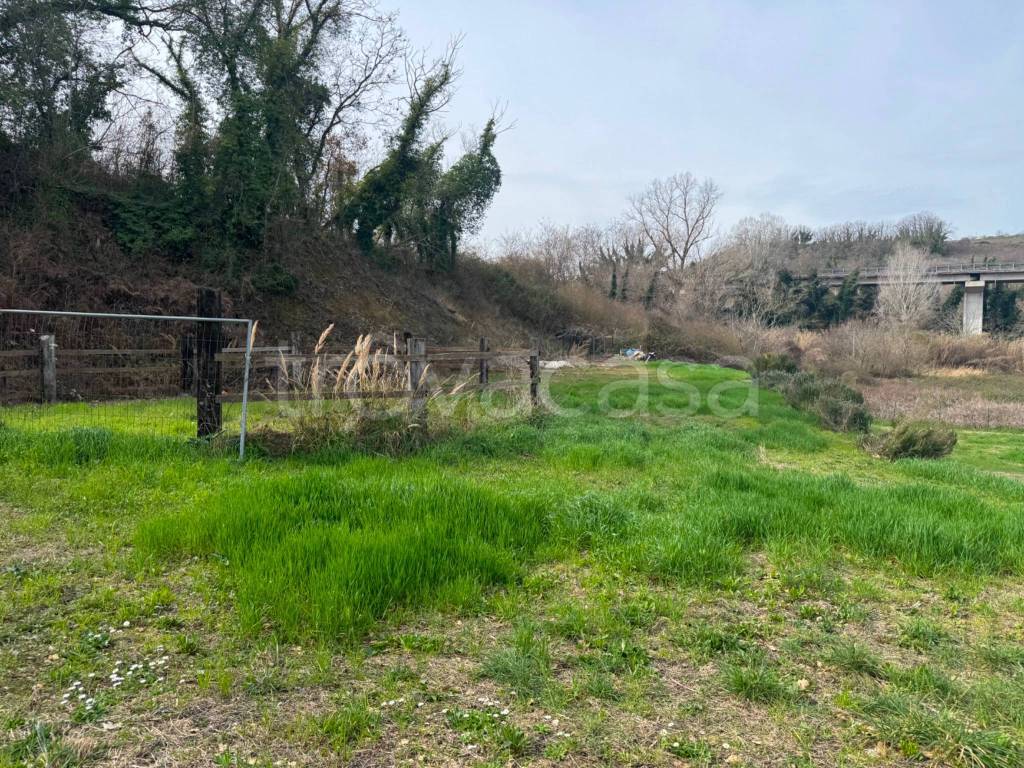 immagine annuncio 3 di 7