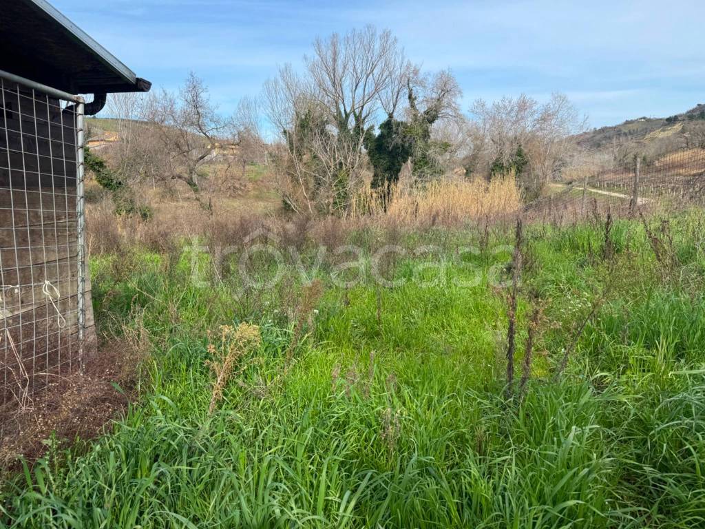 immagine annuncio 4 di 7