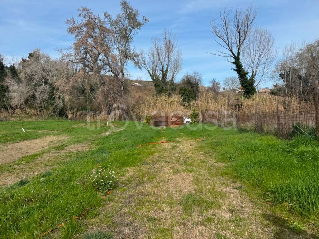 immagine annuncio 6 di 7