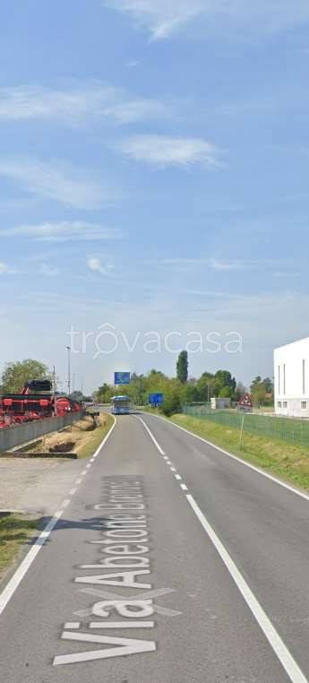 immagine annuncio 7 di 12