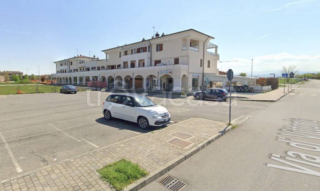 immagine annuncio 2 di 11