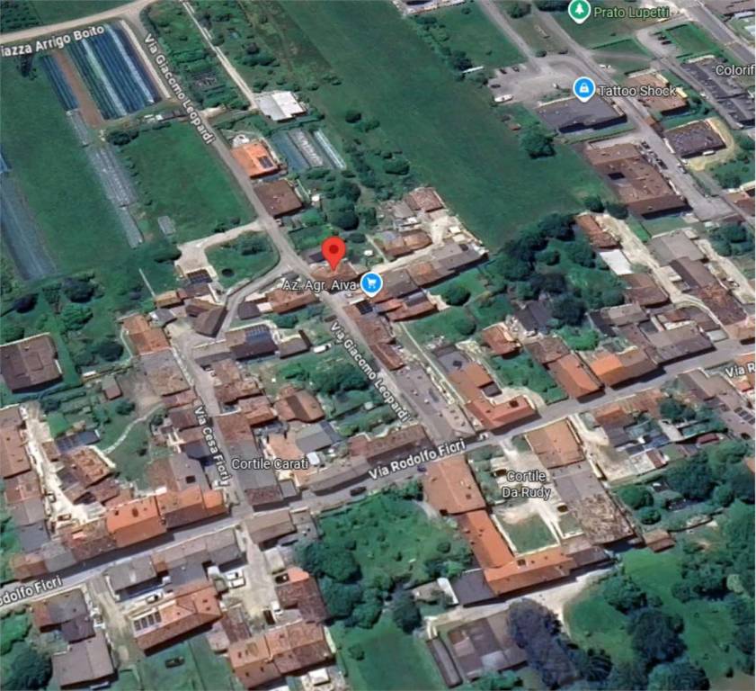 immagine annuncio 7 di 15