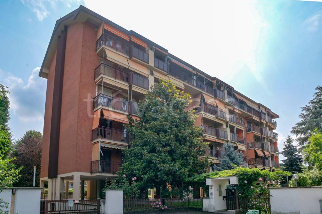 immagine annuncio 11 di 15