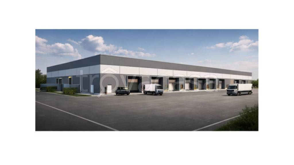 immagine annuncio 1 di 10