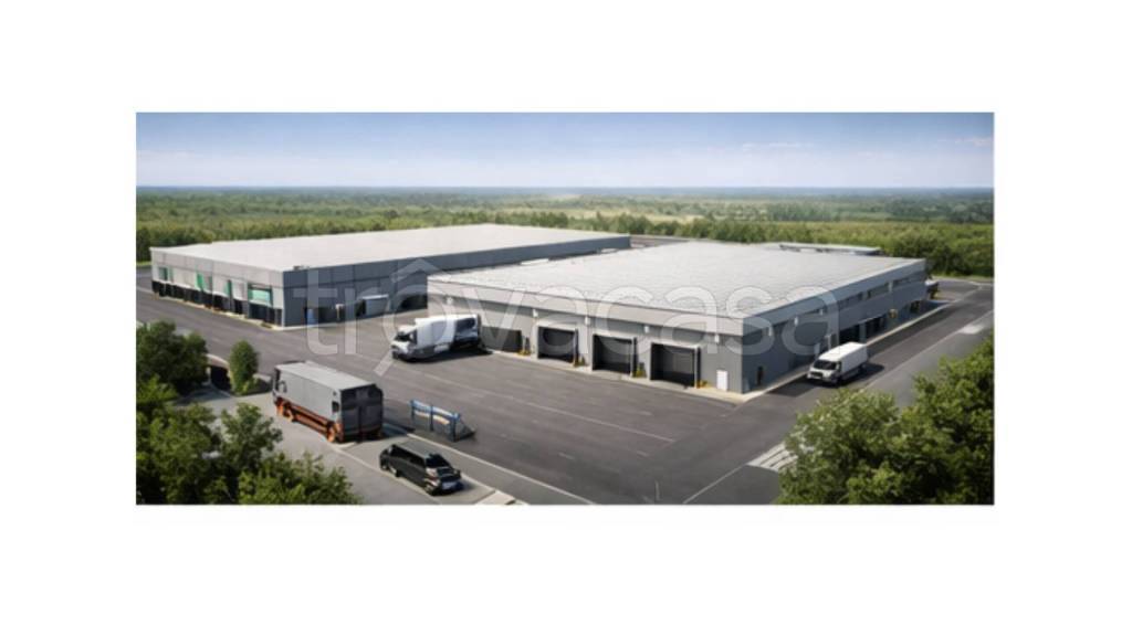 immagine annuncio 2 di 10