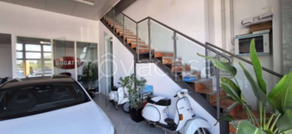 immagine annuncio 3 di 13