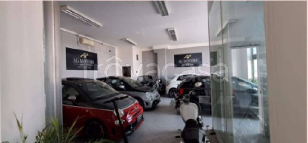 immagine annuncio 4 di 13