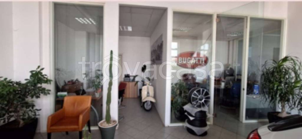 immagine annuncio 5 di 13