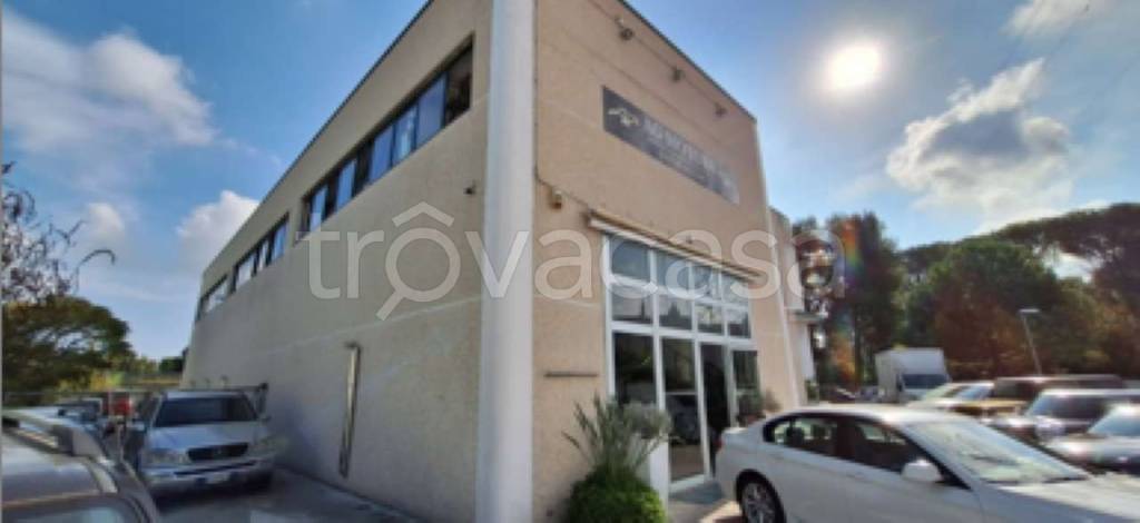 immagine annuncio 8 di 13