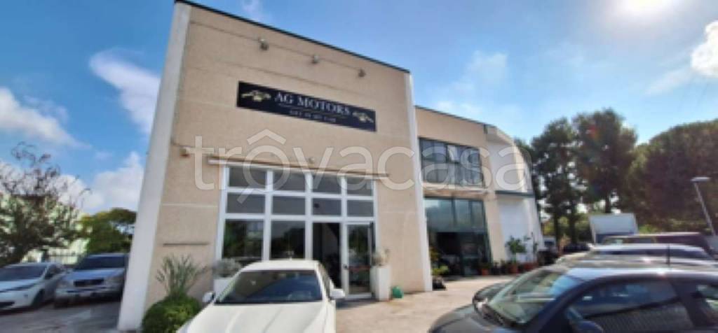 immagine annuncio 9 di 13