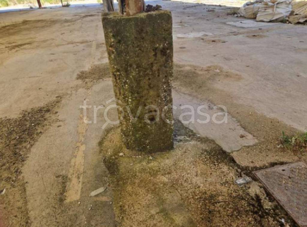 immagine annuncio 2 di 11