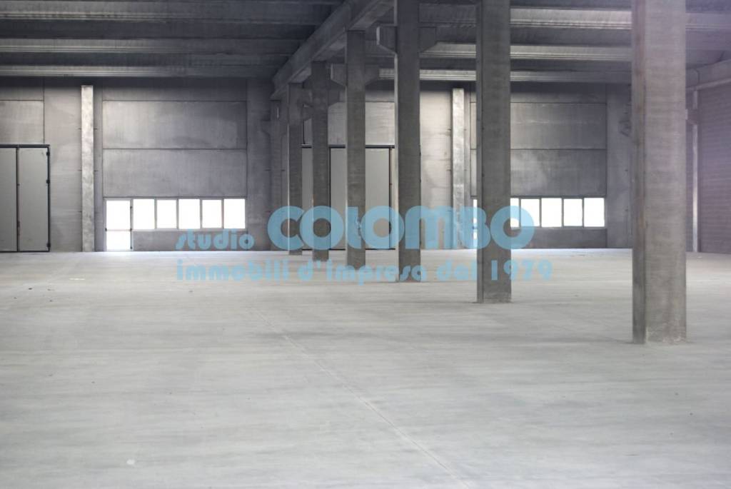 immagine annuncio 1 di 9