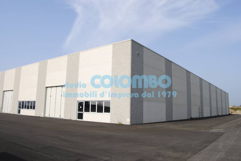 immagine annuncio 7 di 9