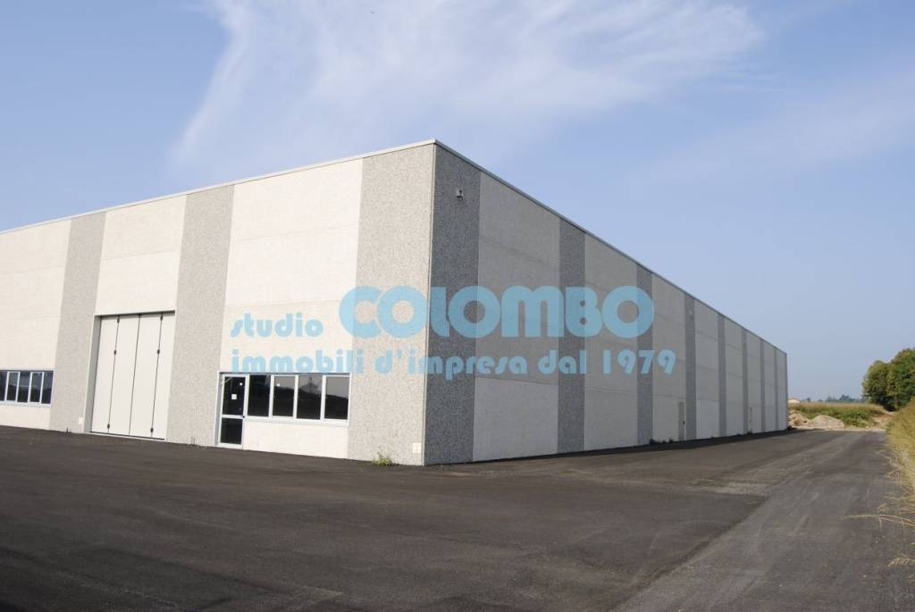 immagine annuncio 8 di 9