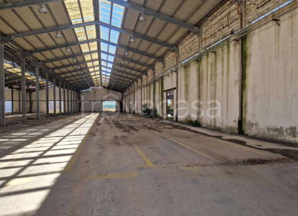 immagine annuncio 7 di 11