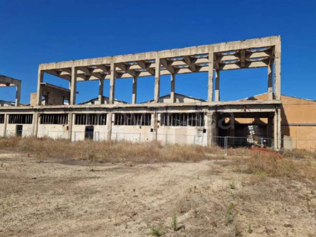 immagine annuncio 8 di 11