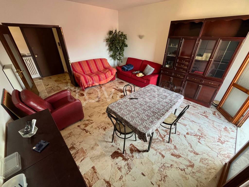 immagine annuncio 3 di 14