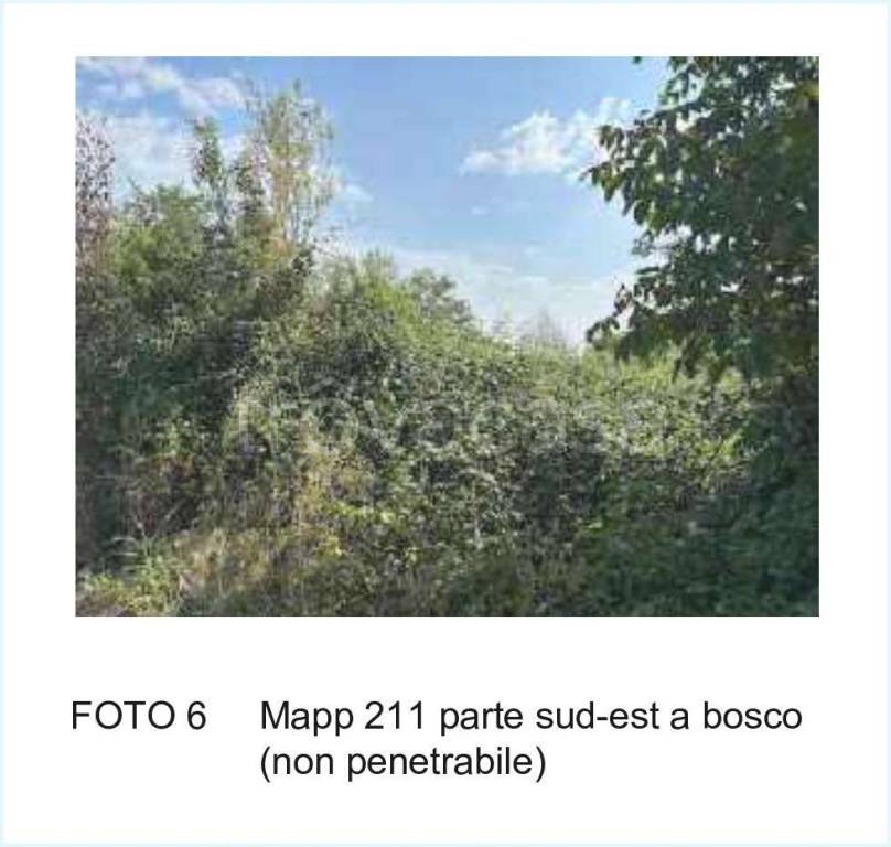 immagine annuncio 5 di 8