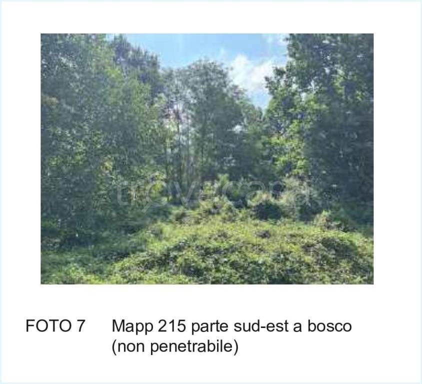 immagine annuncio 6 di 8