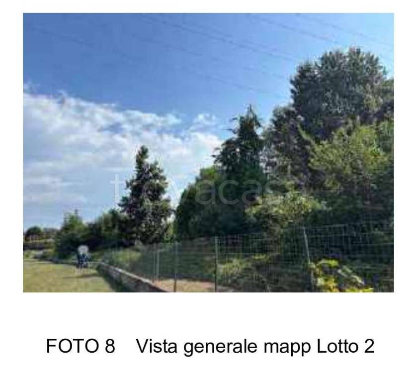 immagine annuncio 7 di 8