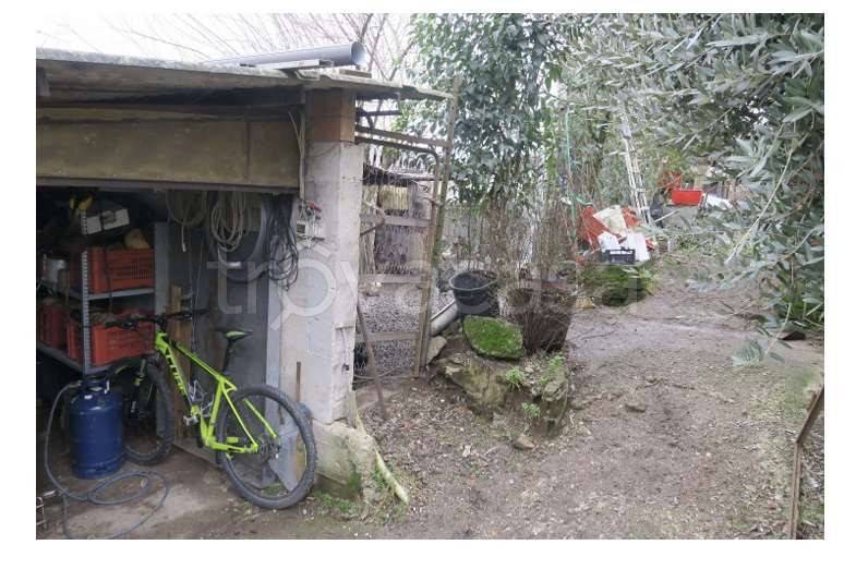 immagine annuncio 4 di 7